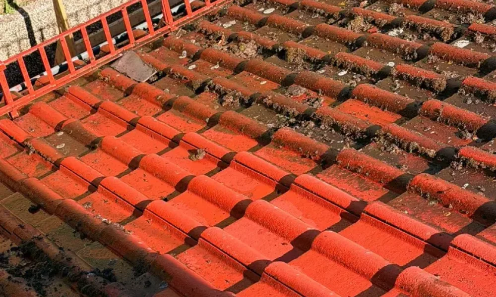 Mit Moos und Verschmutzungen bedecktes Ziegeldach vor der Reinigung